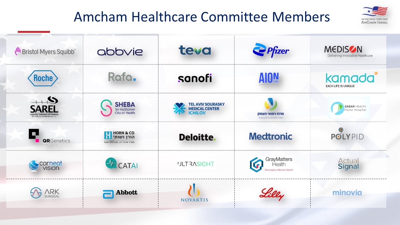 Amcham Helathcare Committee Members May 2024